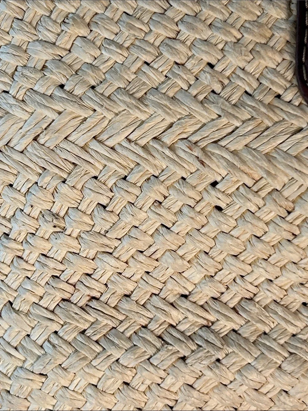 Etienne Aigner Woven Straw Bag Brown Trim Resort Timeless Cottage Coastal